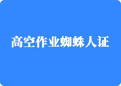 插吸舔网址高空作业蜘蛛人证